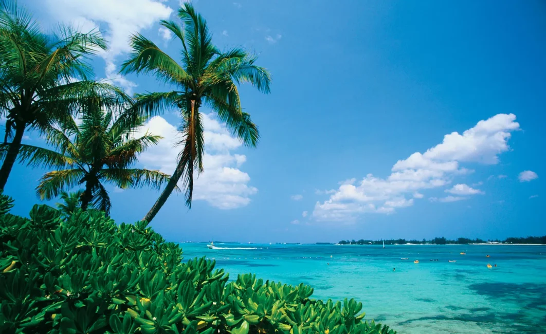 Top 5 Destinations to Visit in the U.S. This Summer